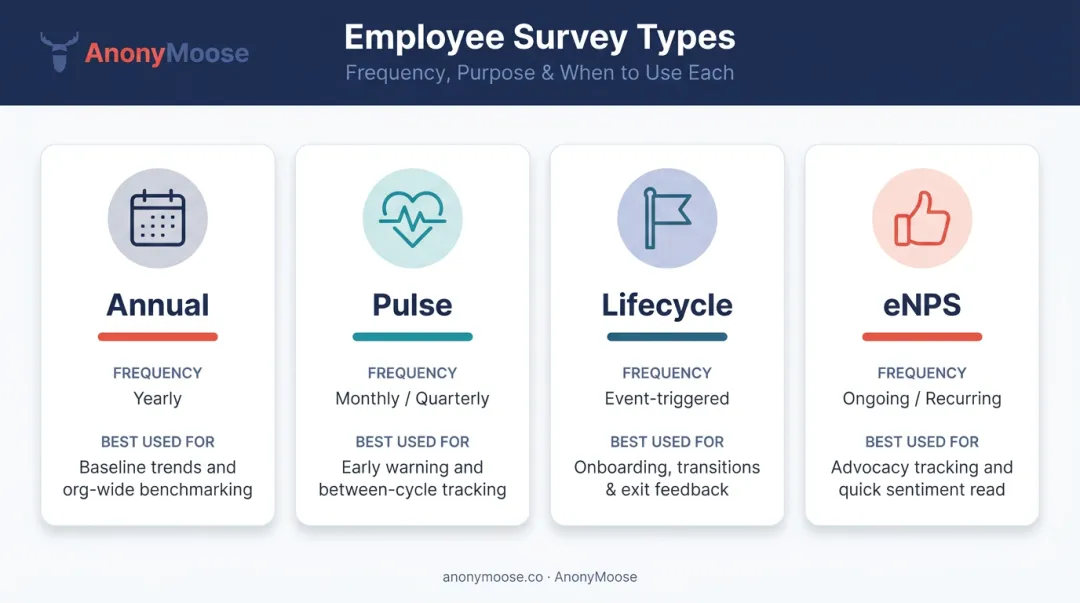 Four employee survey types comparison chart showing frequency and best use cases