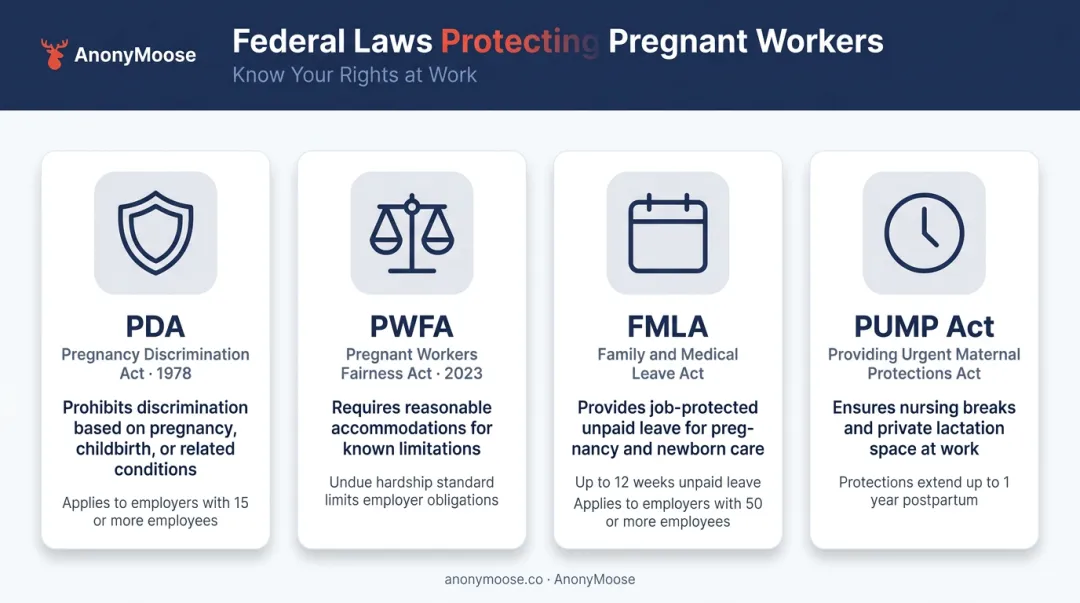 Four federal pregnancy protection laws comparison chart with key coverage details