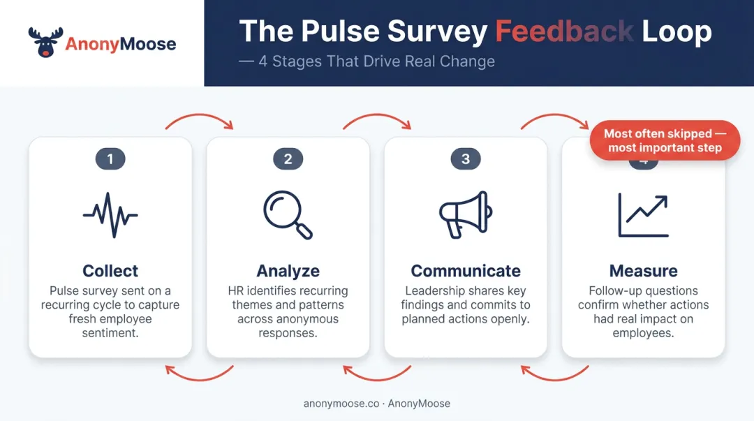 4-step pulse survey feedback loop process from data collection to follow-up measurement
