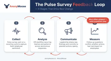 4-step pulse survey feedback loop process from data collection to follow-up measurement
