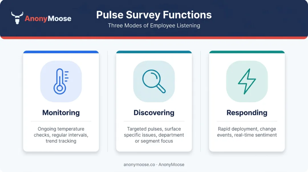 Three pulse survey functions monitoring discovering and responding illustrated as process diagram
