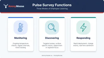 Three pulse survey functions monitoring discovering and responding illustrated as process diagram