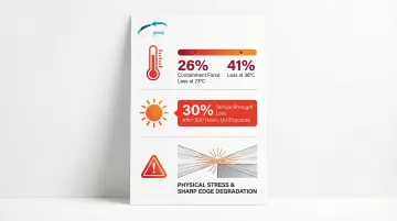 Infographic