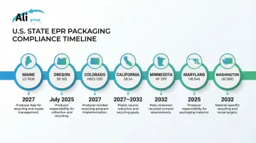 Infographic