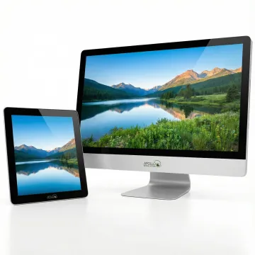 Consumer Electronics