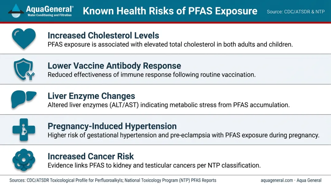 PFAS health effects list showing five CDC-documented human health risks