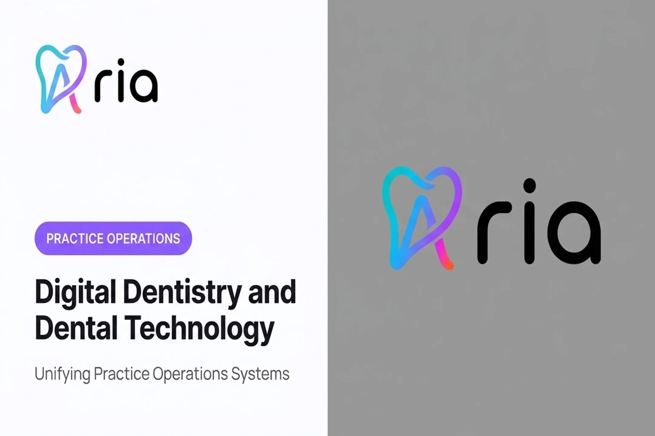 Digital Dentistry and Dental Technology