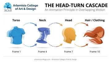 Head turn animation cascade sequence from torso to hair movement