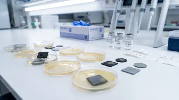 Laboratory petri dish showing bacterial biofilm growth on rubber gasket material surface