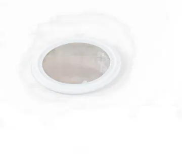 PTFE/Teflon 20 Micron Tri Clamp Screen Gasket