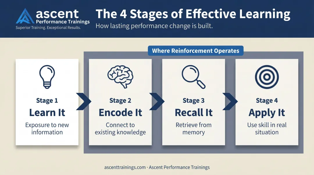 Four-stage learning model from exposure to real-world skill application