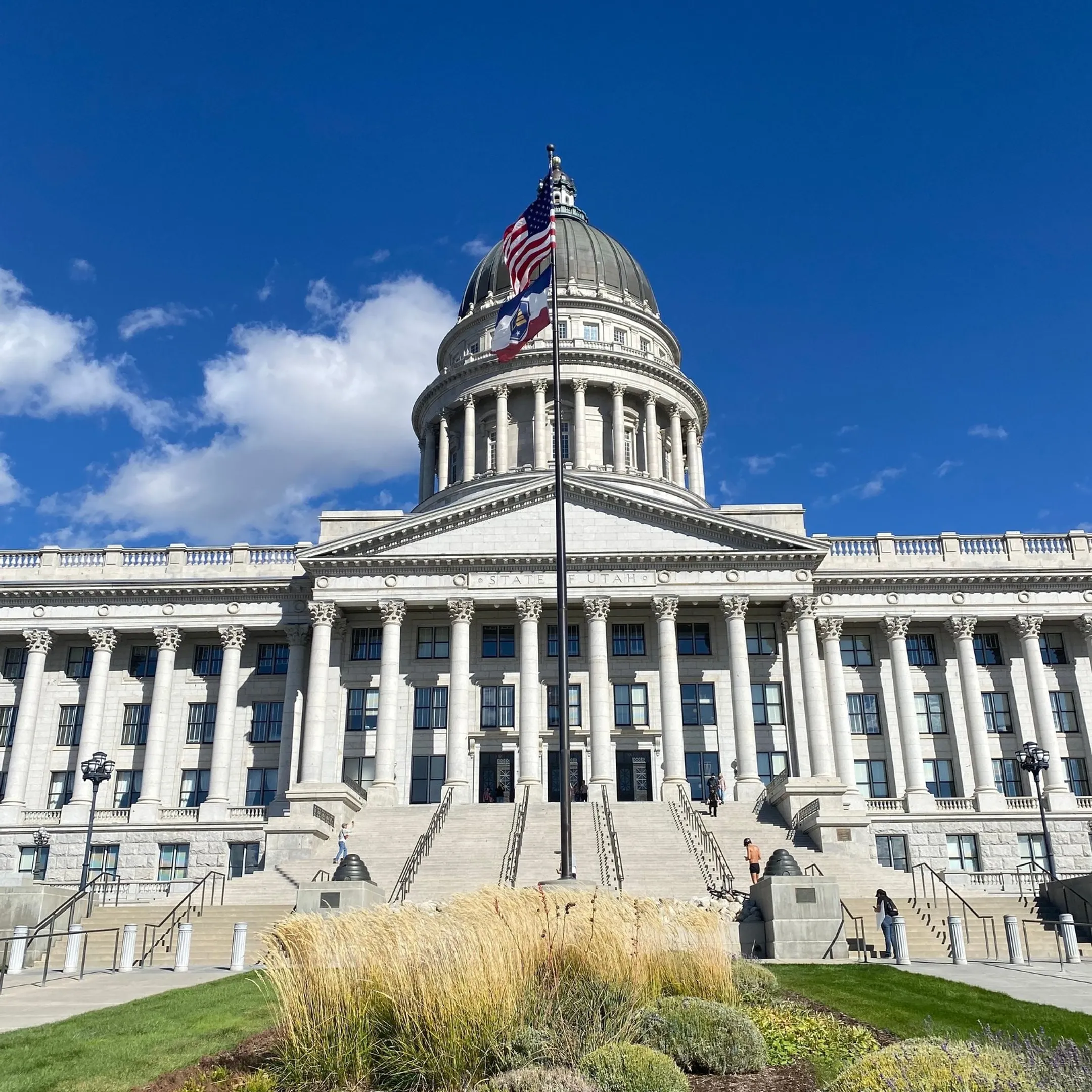 Government Contracting Solutions