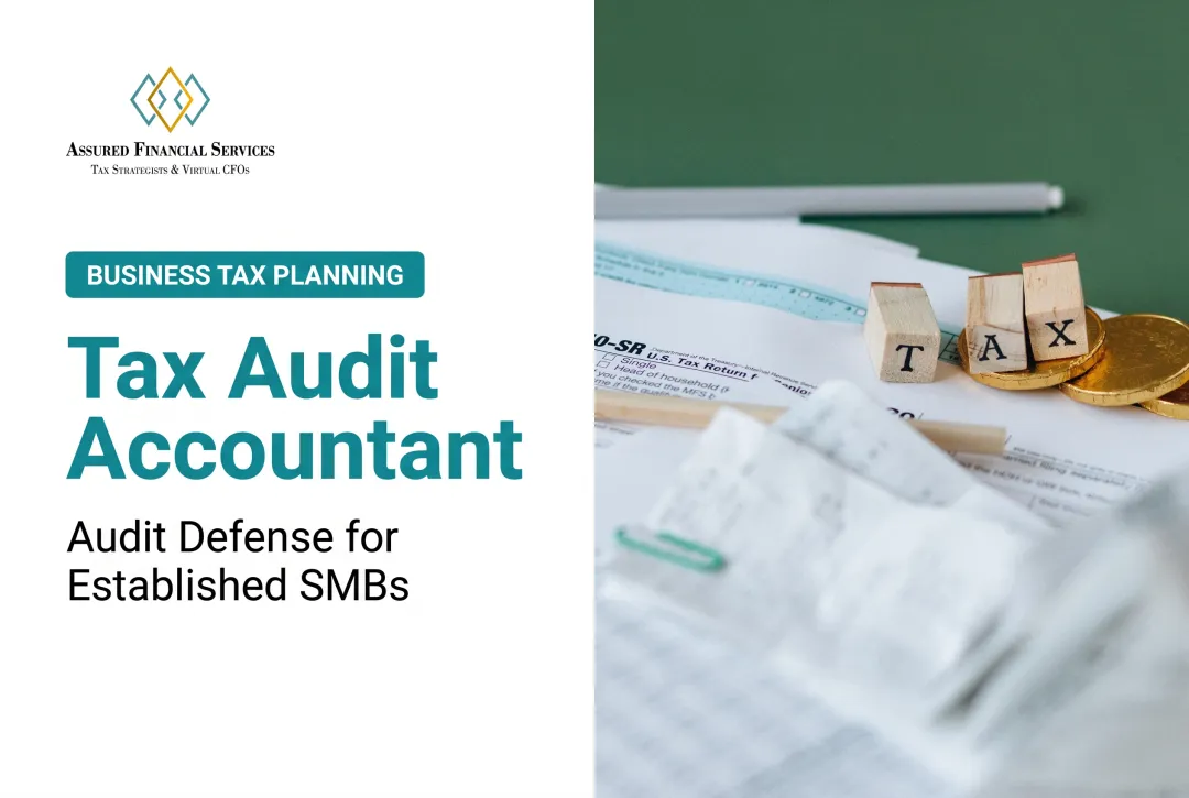 Tax Audit Accountant