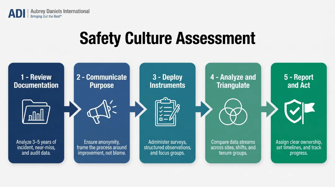 5-step safety culture assessment process from documentation review to action planning