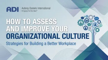 How to Assess and Improve Your Organizational Culture