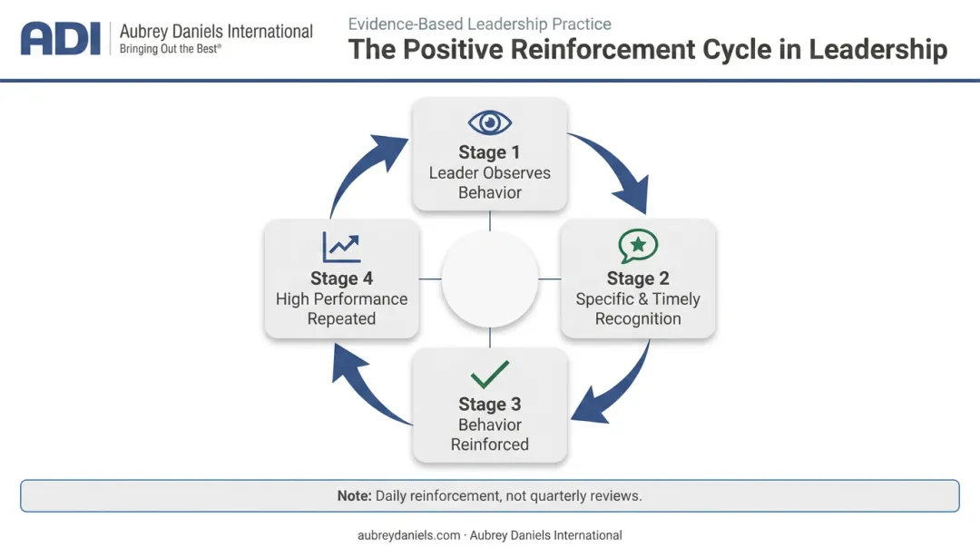 Daily positive reinforcement cycle showing behavior recognition and performance improvement loop