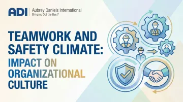 Teamwork and Safety Climate: Impact on Organizational Culture