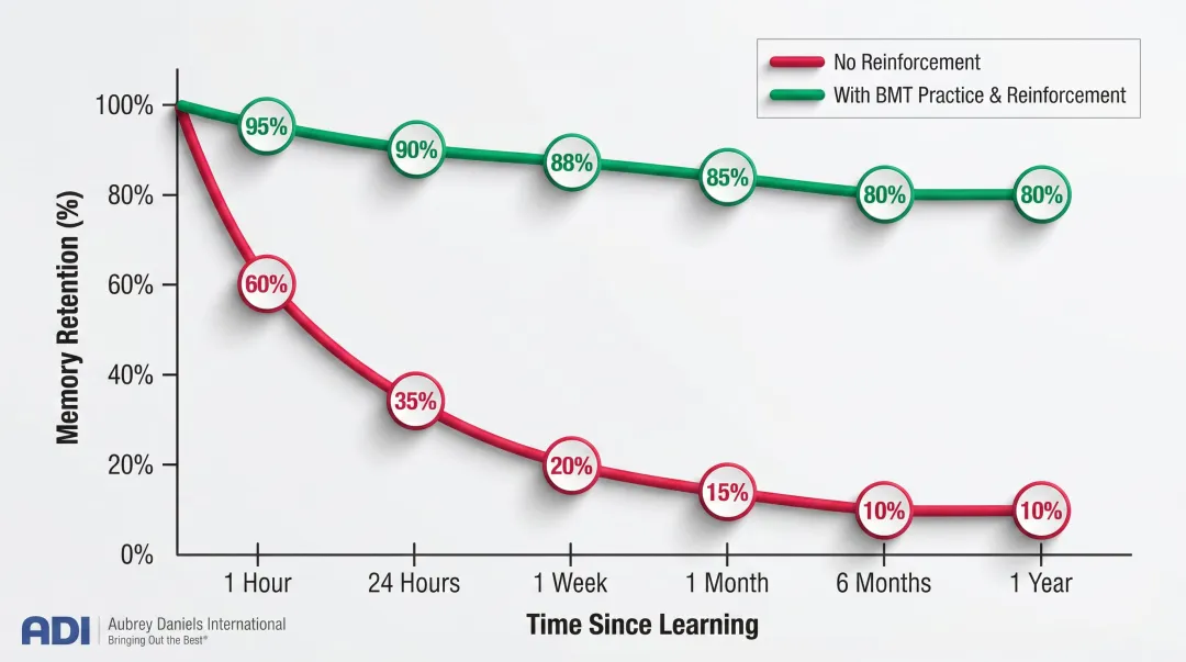 Ebbinghaus forgetting curve showing learning retention decline over time