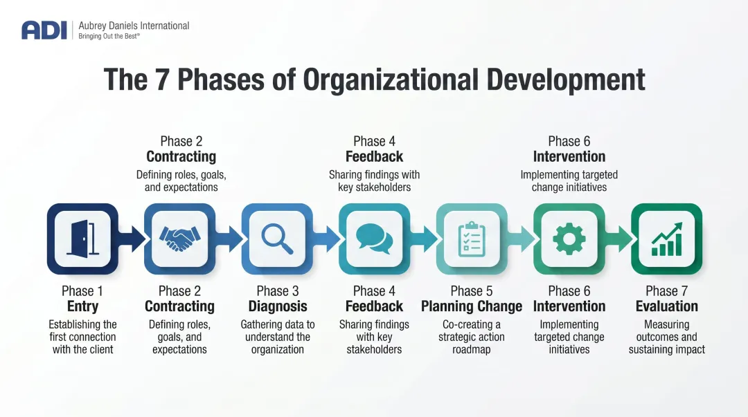 7 phases of organizational development process flow from entry to evaluation