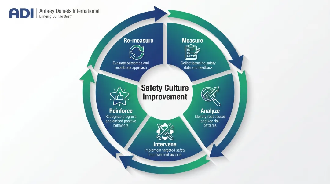 Five-step safety survey continuous improvement cycle from measure to re-measure