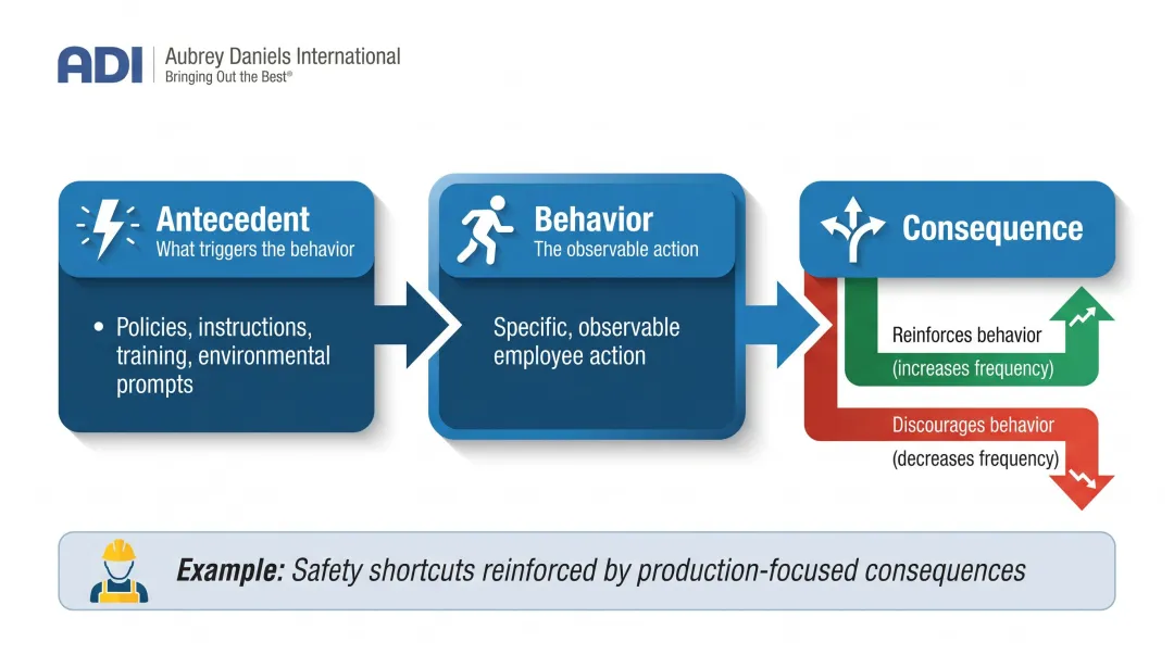 ABC model antecedent behavior consequence organizational behavior management framework diagram