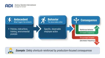 ABC model antecedent behavior consequence organizational behavior management framework diagram