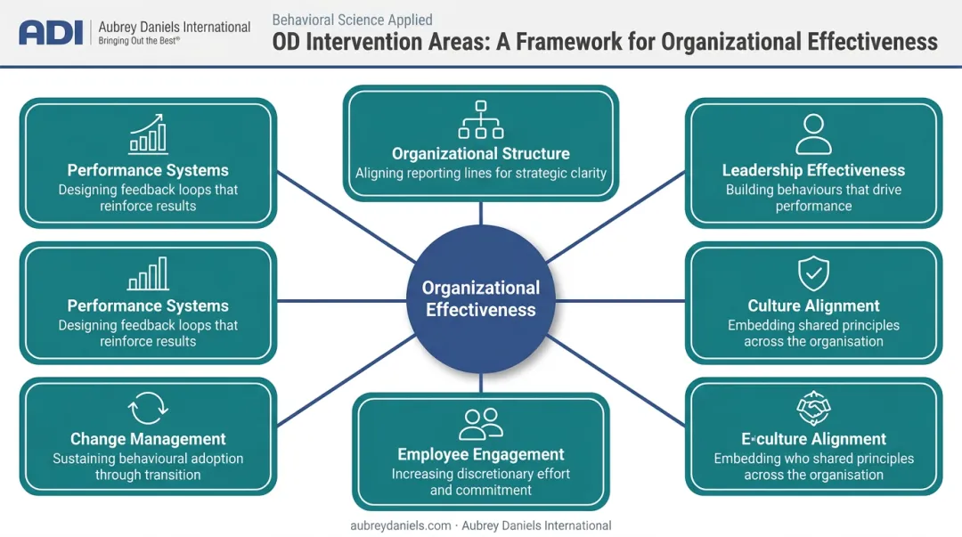 Six core OD consulting intervention areas organizational systems wheel diagram