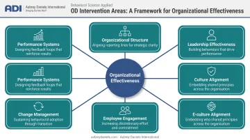 Six core OD consulting intervention areas organizational systems wheel diagram