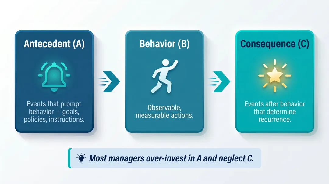 ABC model antecedent behavior consequence framework for culture change