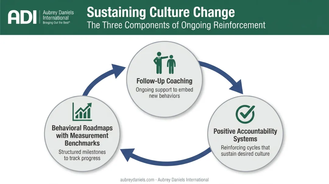 Culture transformation sustainment framework showing ongoing measurement coaching and accountability cycle