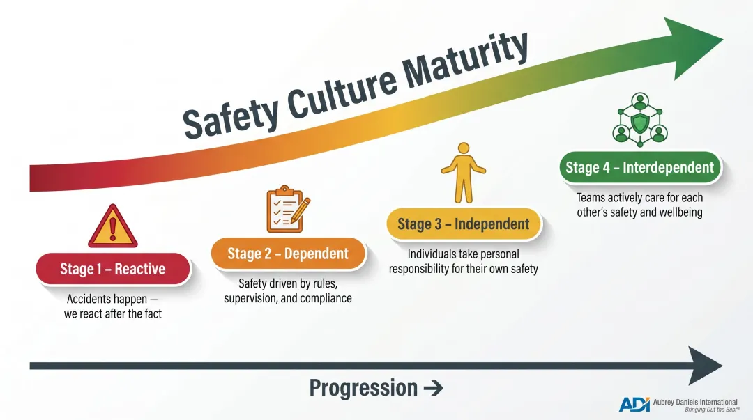 Bradley Curve four-stage safety culture maturity model from reactive to interdependent
