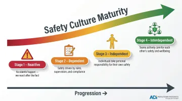 Bradley Curve four-stage safety culture maturity model from reactive to interdependent