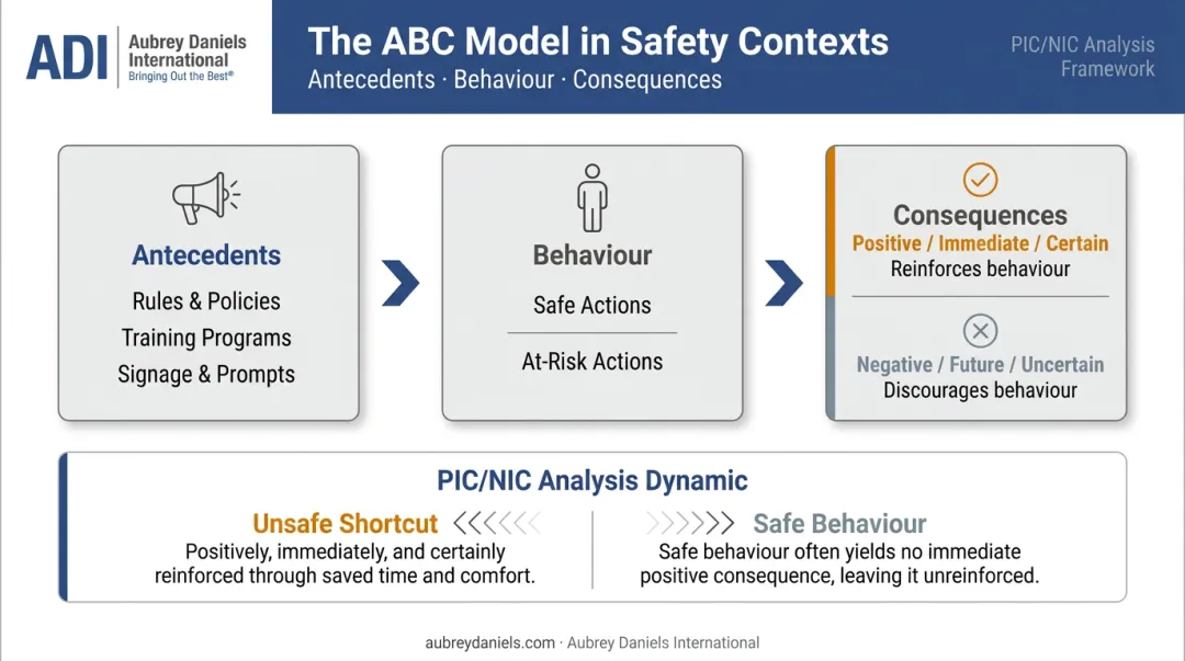 ABC model antecedent behavior consequence framework applied to workplace safety culture
