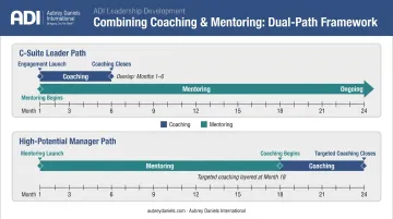 Leadership development timeline combining executive coaching and mentoring sequenced strategically