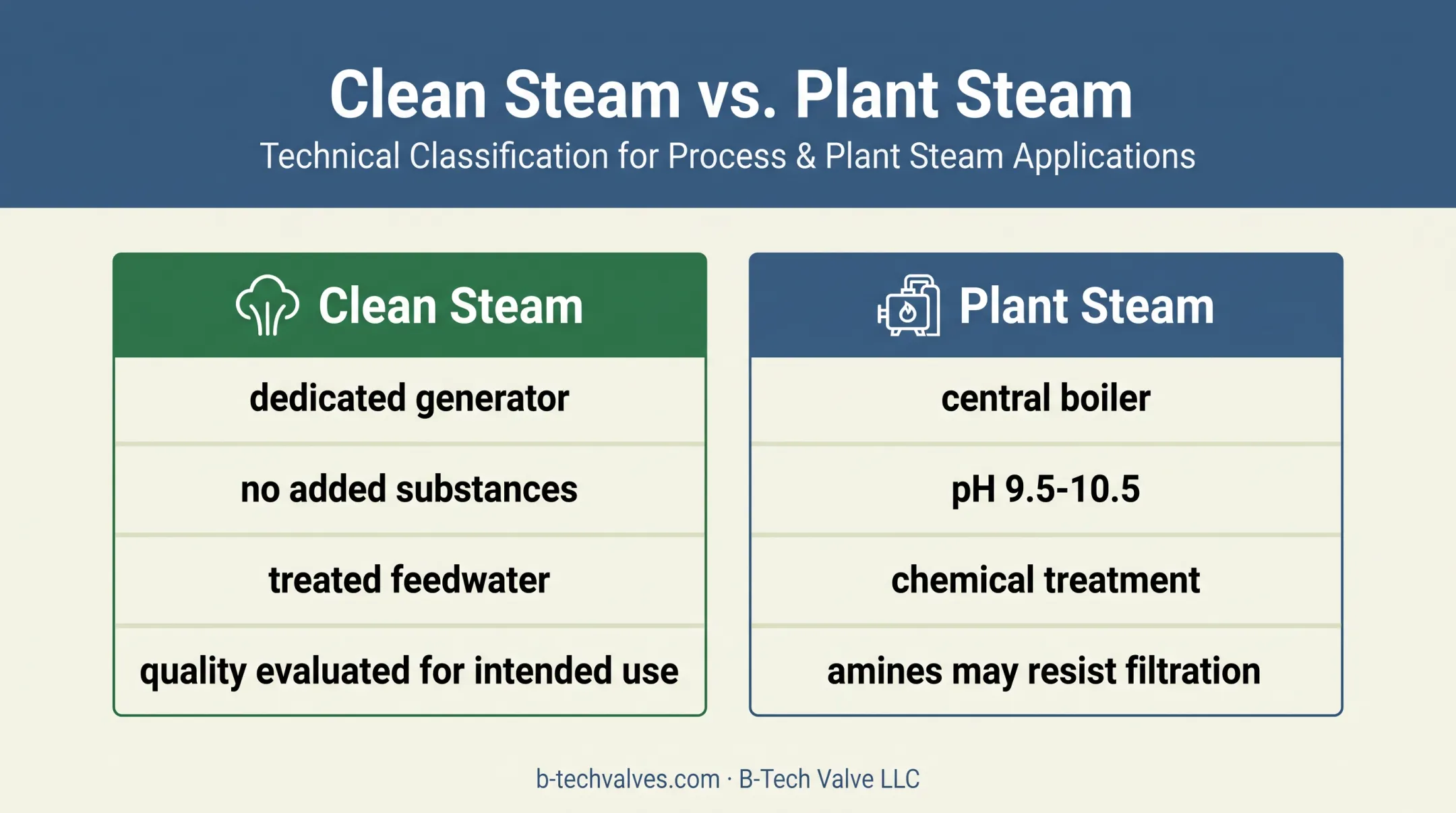 Clean steam versus plant steam purity and source comparison