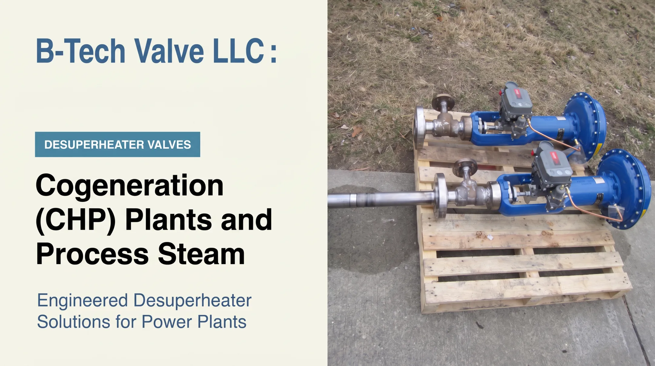 Cogeneration (CHP) Plants and Process Steam