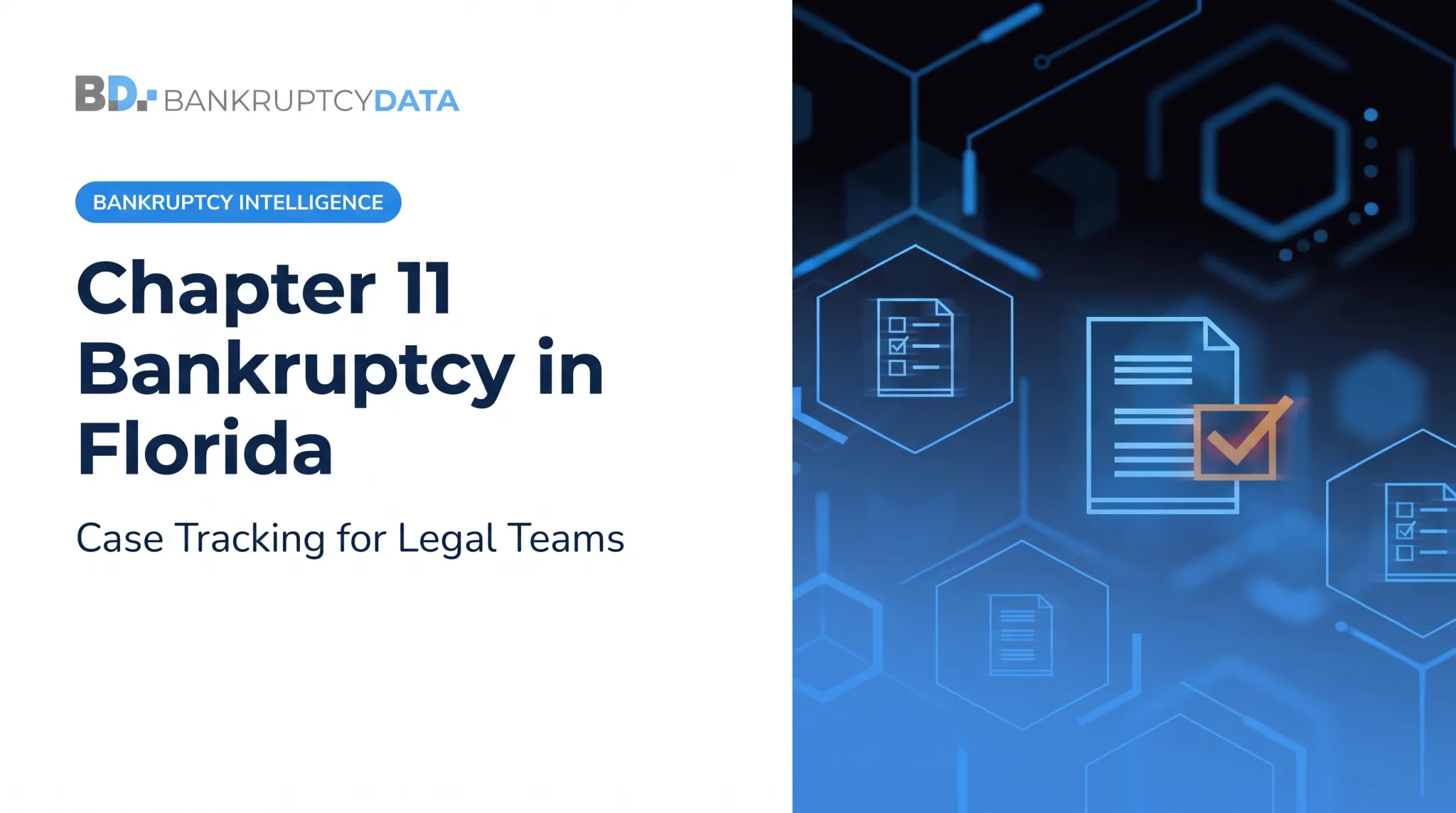 Chapter 11 Bankruptcy in Florida