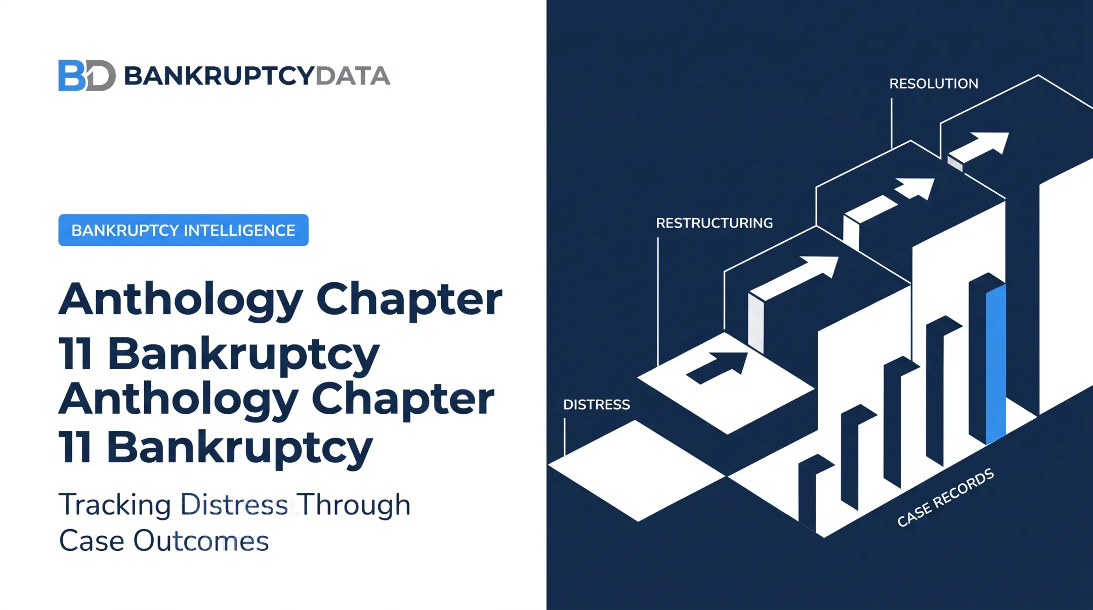 Anthology Chapter 11 Bankruptcy
