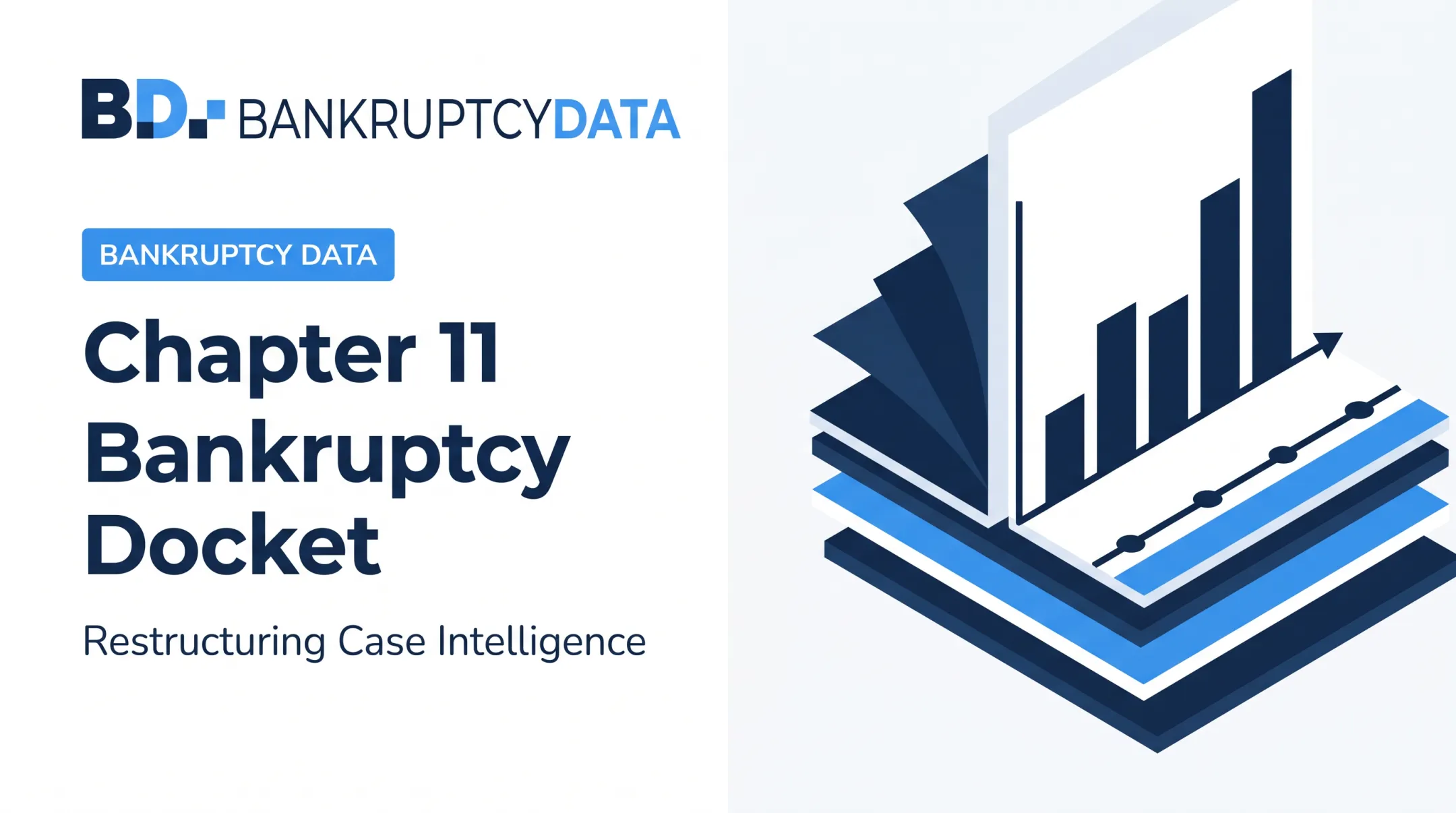 Chapter 11 Bankruptcy Docket