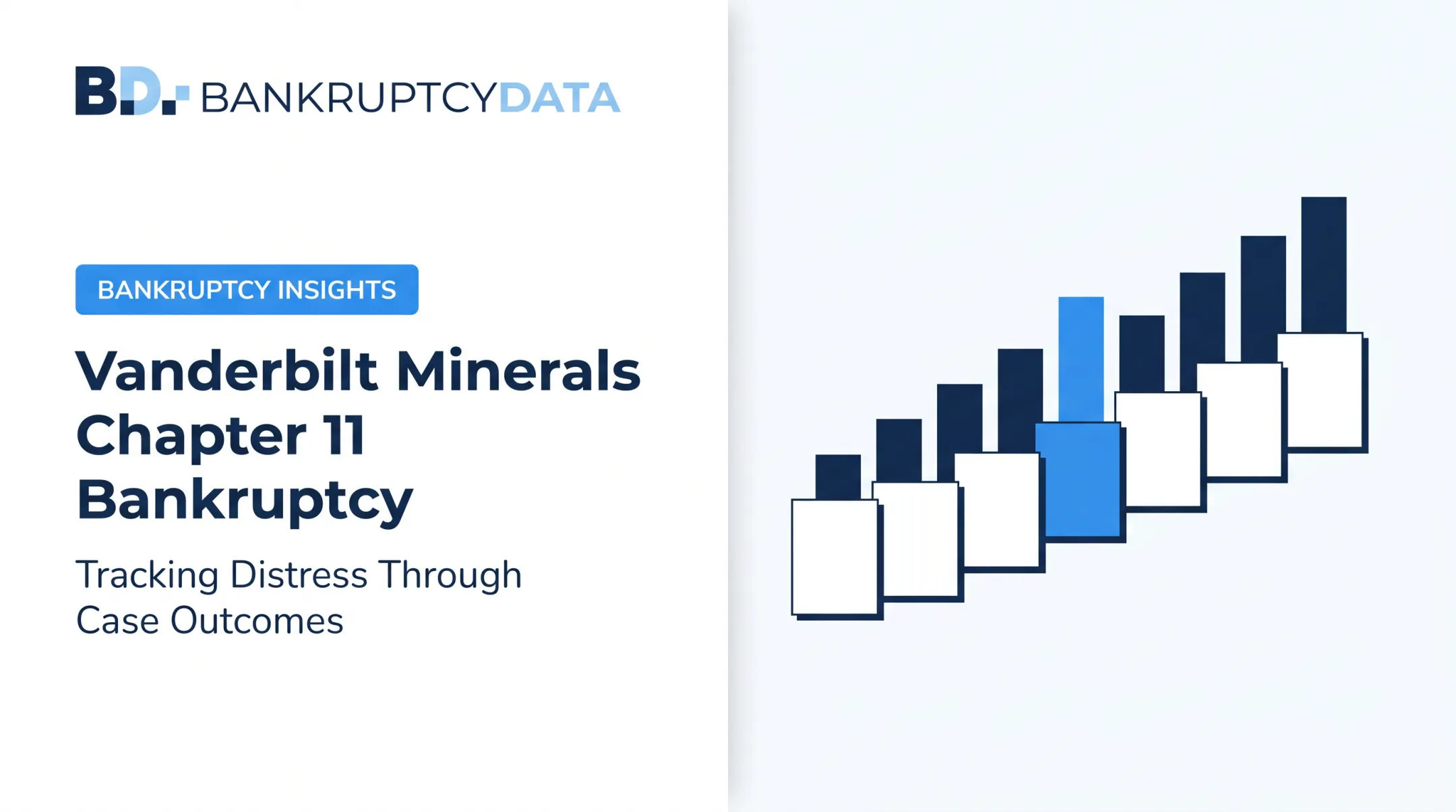 Vanderbilt Minerals Chapter 11 Bankruptcy