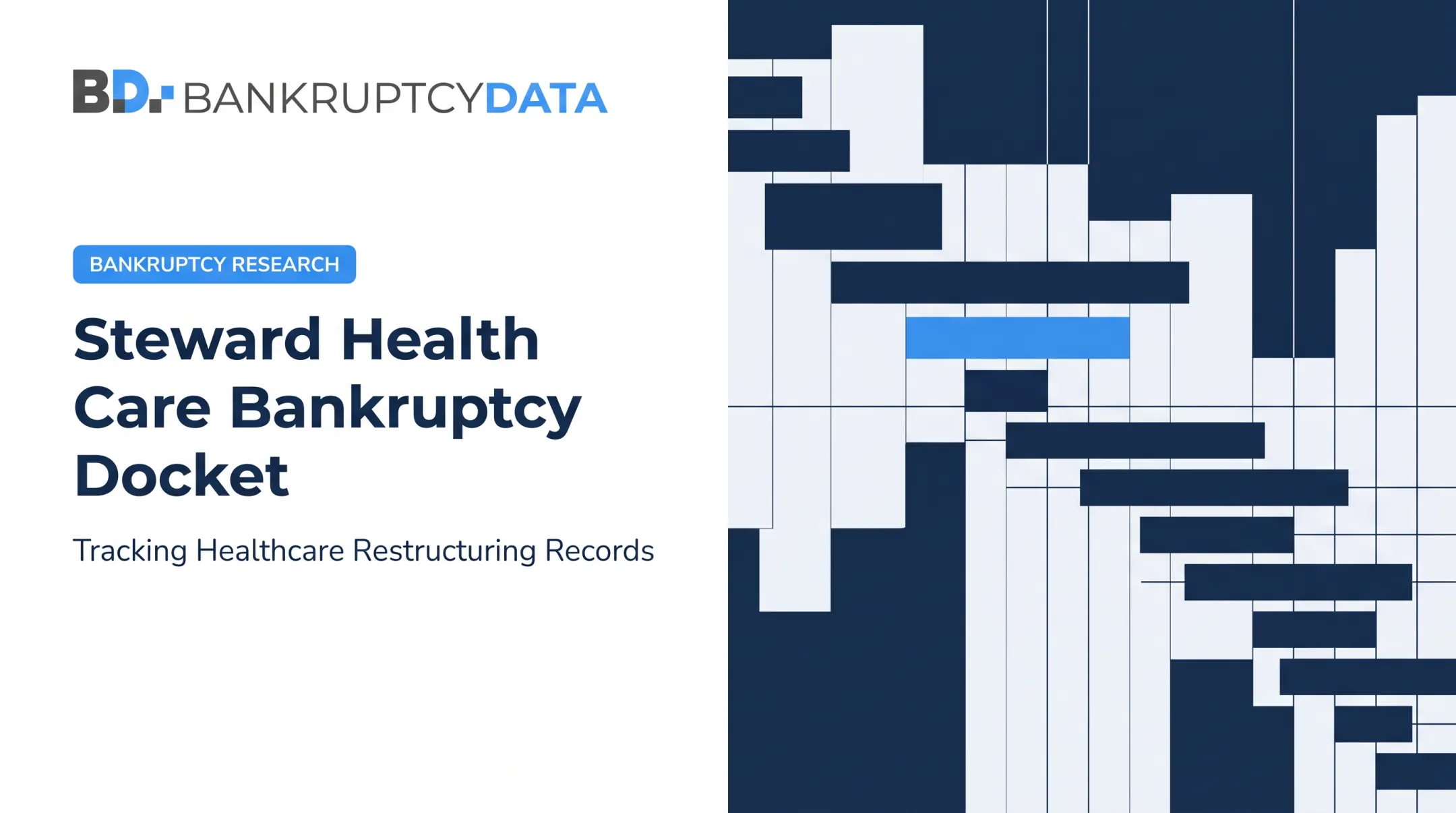 Steward Health Care [Bankruptcy Docket](/blog/del-monte-bankruptcy-docket)