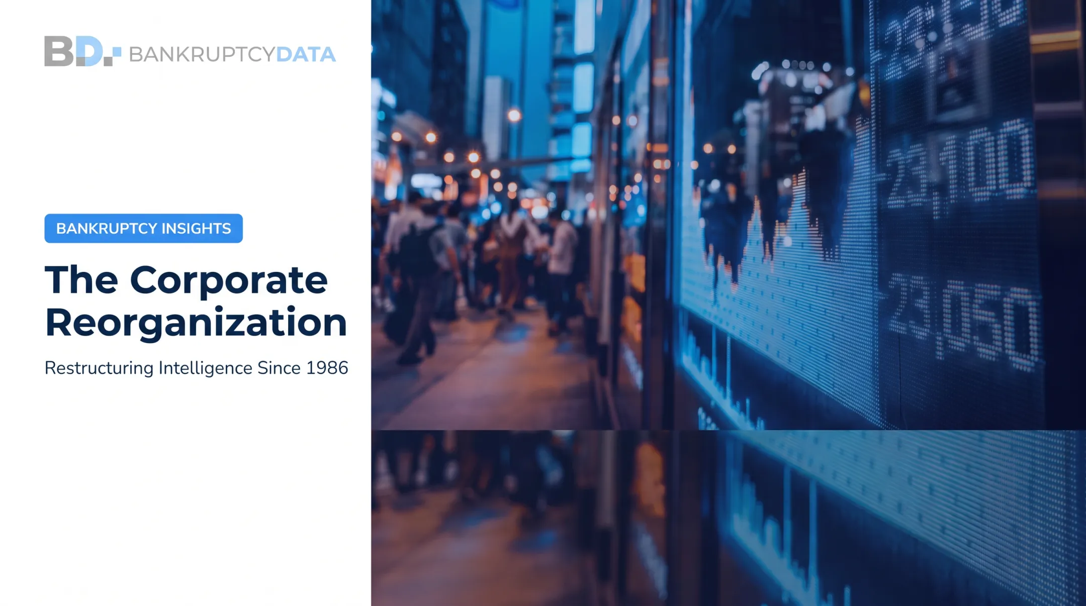 The Corporate Reorganization