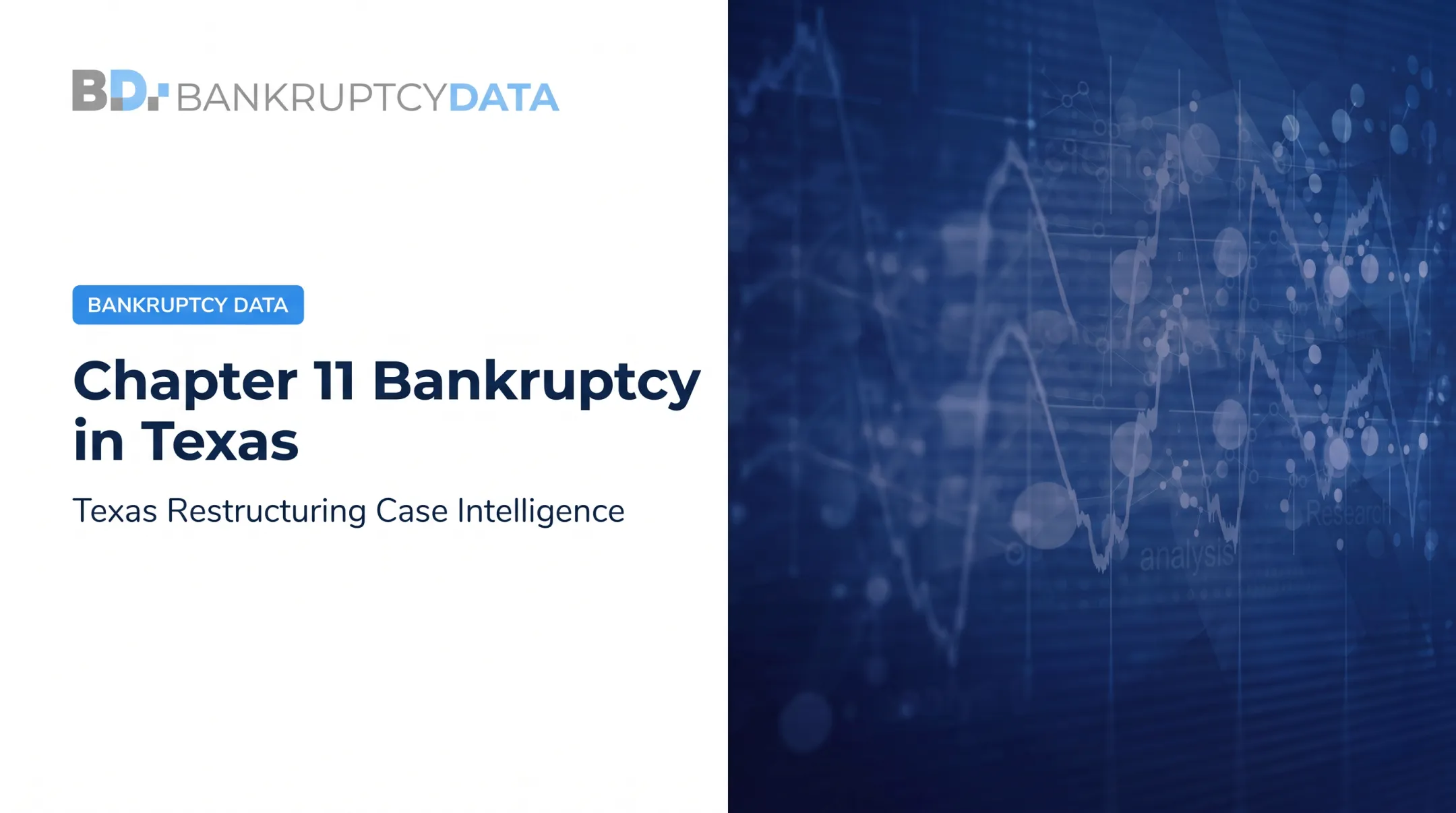 Chapter 11 Bankruptcy in Texas