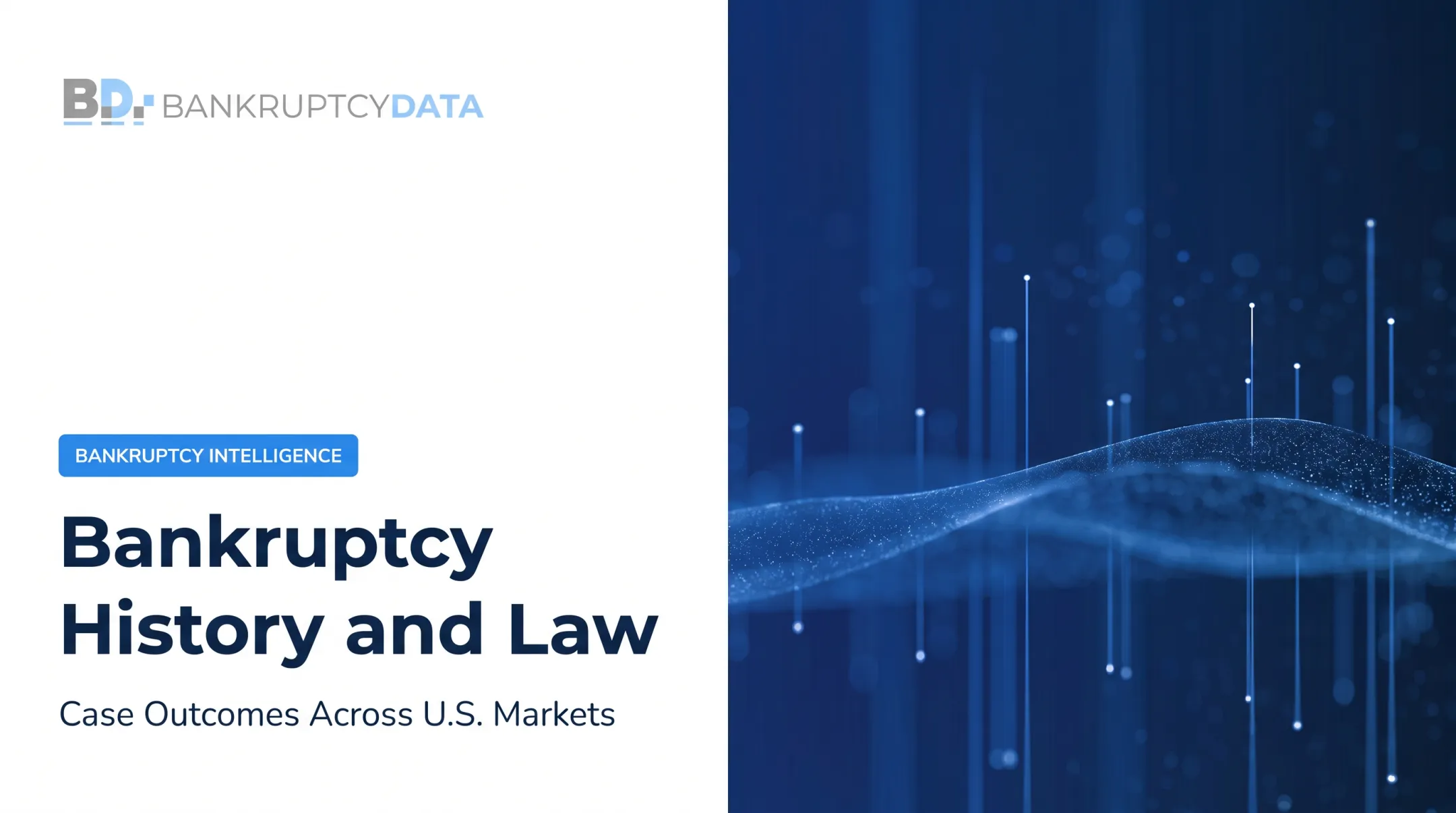 Bankruptcy History and Law
