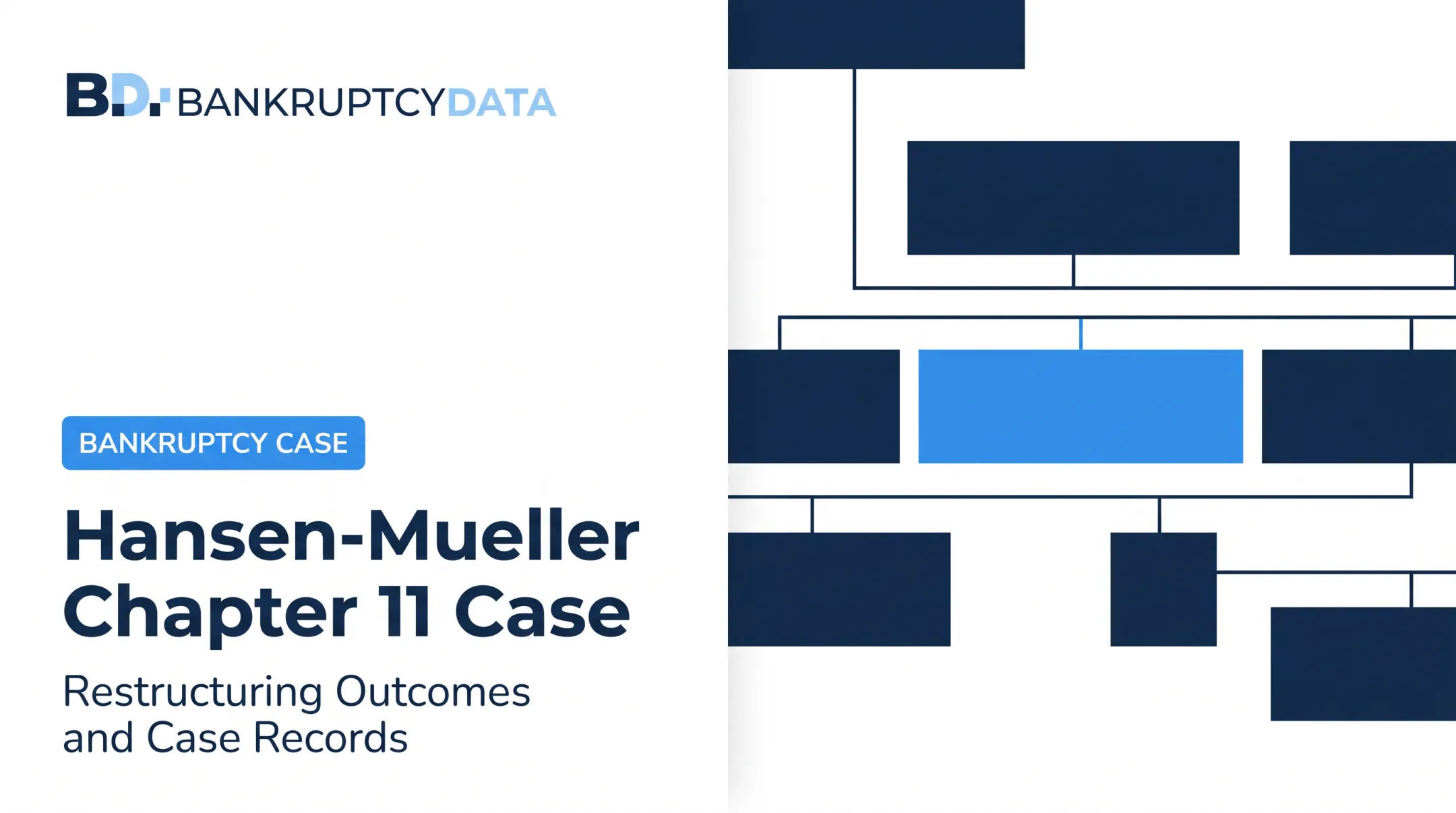 Hansen-Mueller Chapter 11 Case