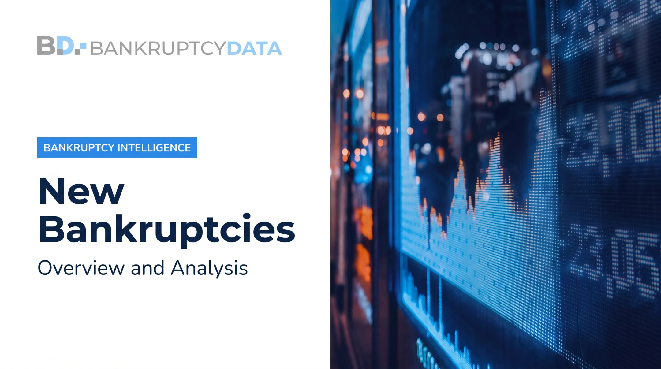 New Bankruptcies: Overview and Analysis