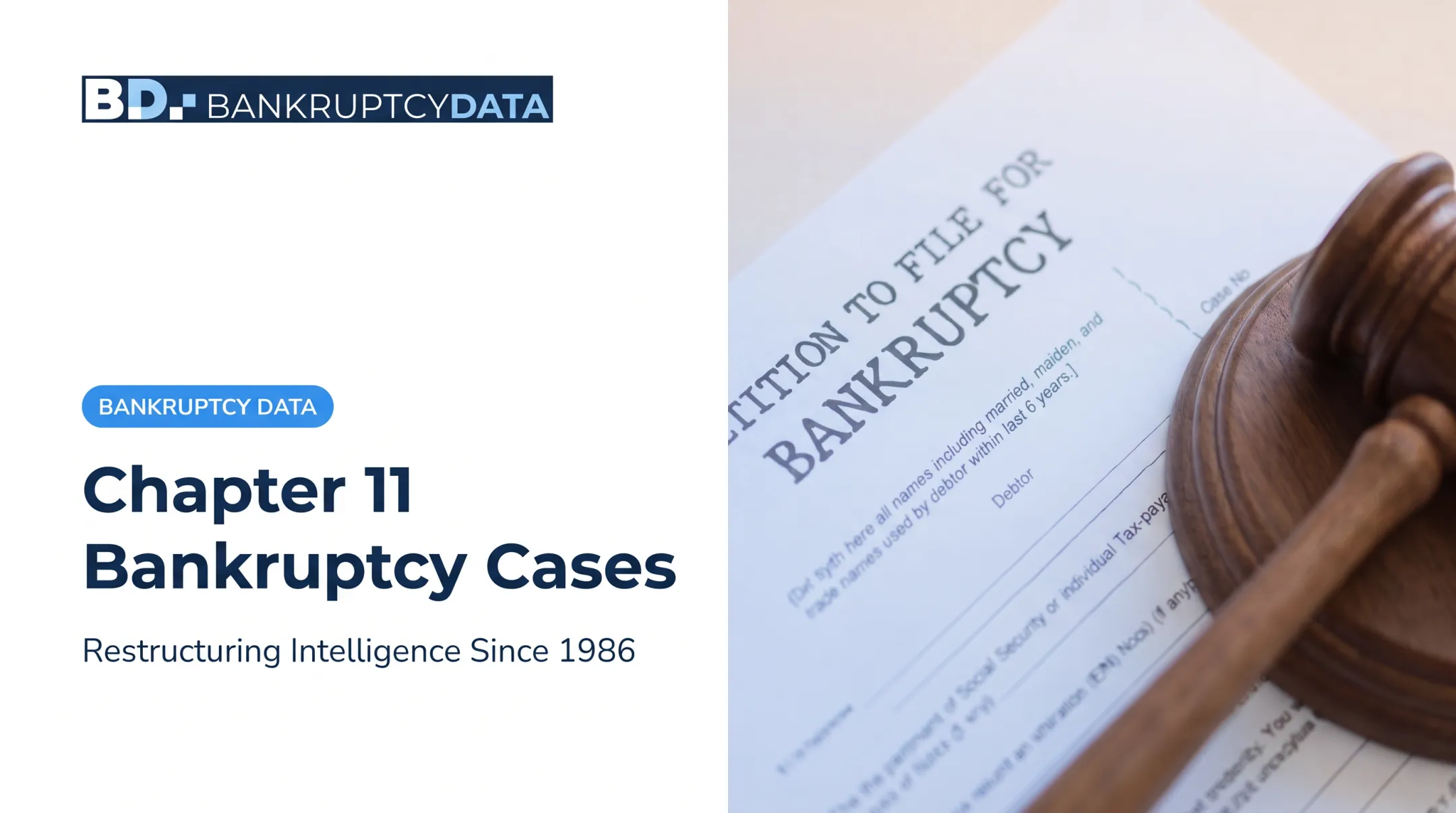 Chapter 11 Bankruptcy Cases