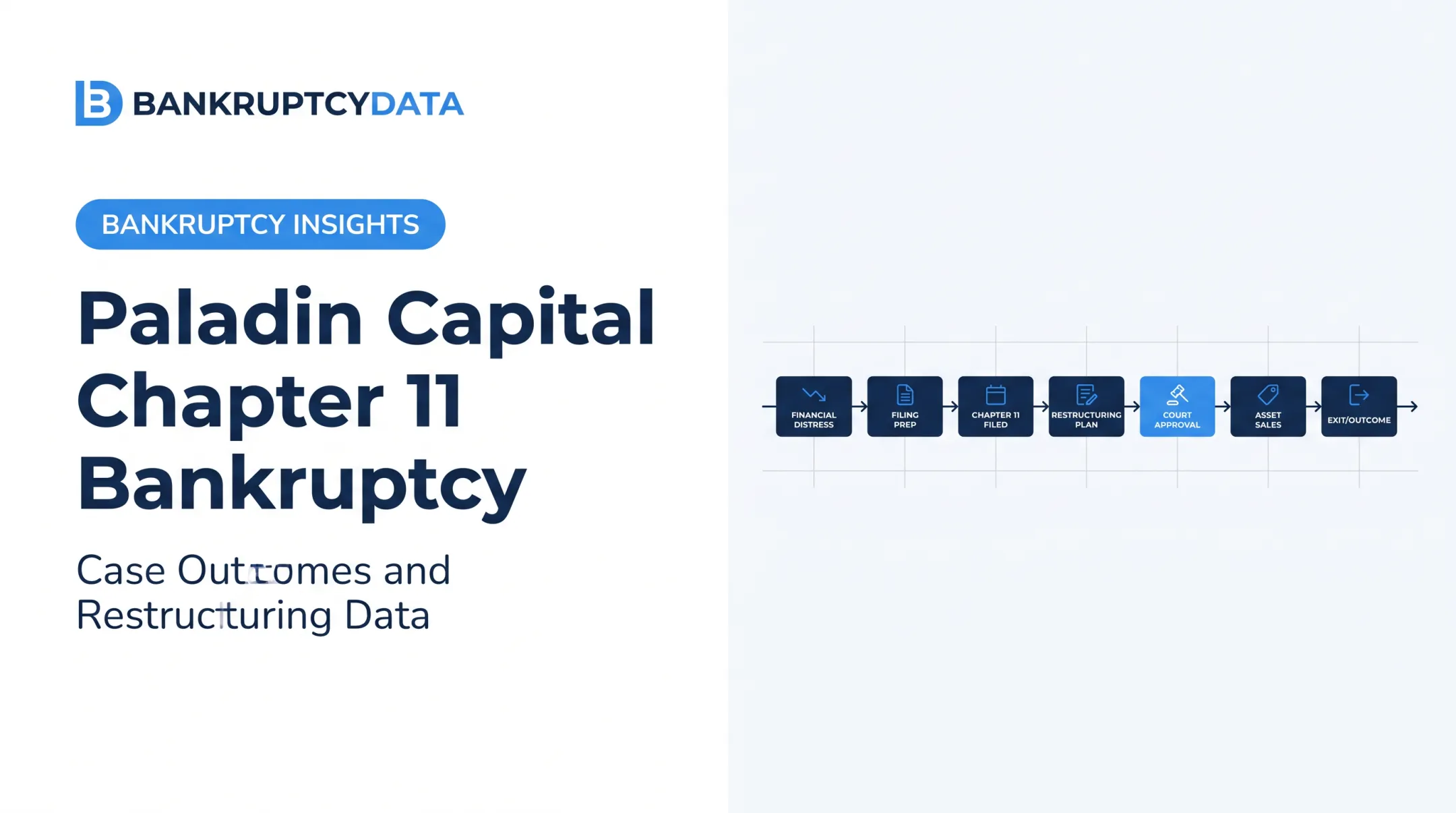 Paladin Capital Chapter 11 Bankruptcy