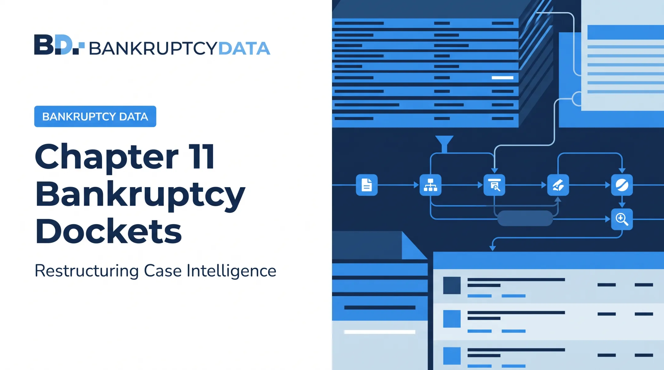 Chapter 11 Bankruptcy Dockets