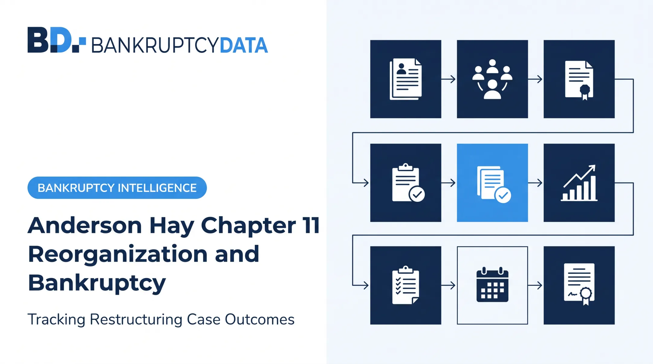 Anderson Hay Chapter 11 Reorganization and Bankruptcy